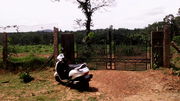 agri land in Shimoga with rubber plantations