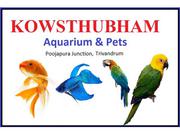 Aquarium in Trivandrum