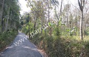  55cent land for sale near Naadavayal