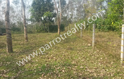 20 cent land for sale in near Nadavayal (wayanad).