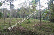 1.25 acre land for sale near Nadavayal