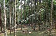 2.30 acre land for sale in Near Banasura Sagar Dam.