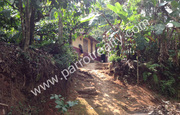 4 acre land for sale in near Vellamunda