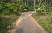 1 acre land  for sale in Cheengodu(wayanad).