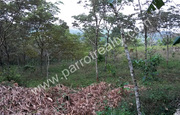 1 acre agricultural land for sale in Near Padinjarathara