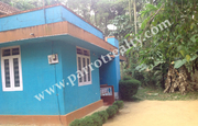 50 cent land with  house for sale in Near Nadavayal