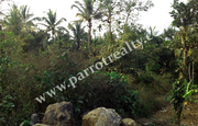 18cent house plot for sale in Near Cheengodu. 