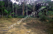 10 cent house plot for sale in near Cheengodu