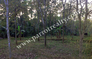 10 cent land for sale in near Kaattadikavala (wayanad).