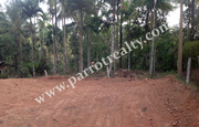 10 cent house plot for sale in near Nadavayal.wayanad