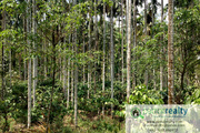 2.50 acre land for sale in Karapuzha Dam. 