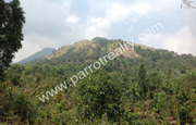 60 cent  land for sale in near Banasurasargar Dam (Padinjarathara).