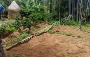 12 cent house plot for sale in Mukramoola(panamaram).wayanad