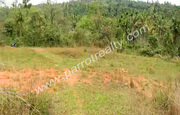 1.5 acre of land for sale in Pulpalli ,  Wayanad. 