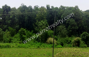 1.50 acre land  for sale in near Cheengodu.wayanad