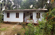 1.75acre land with small house for sale in near Erulam.wayanad