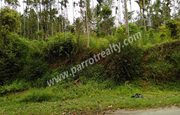 20cent house plot for sale in near Ambalavayal.