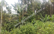 33cent house plot for sale in near Poothadi.