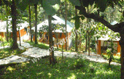 15cottage for sale in  near Vythiri.