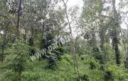 43cent house plot for sale in near manalvayal.wayanad