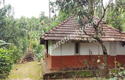 Land with small house for sale in near Irulam.wayanad