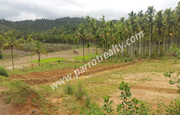 2acre land for sale in (Area pally) pulpally 