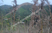 5acre land for sale in near kunjome