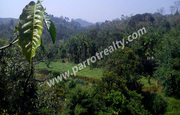 2acre land for sale in near Korom.