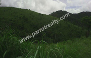 60 acre land for sale in Korom.wayanad