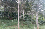 50 cent land for sale in Manalvayal 