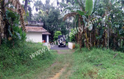 20 cent house plot  for sale in Kalpetta . wayanad