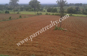 6acre cheap land for sale in Begur(Karnataka).