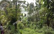 30cent water frontage land for sale near Padinjarathara. wayanad