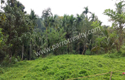 Land for sale In Kavumannam,  Wayanad.