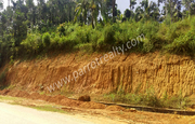 14cent land for sale near vaduvanchal,  Wayanad.