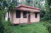 1acre land with small house for sale In Kadalmadu,  Wayanad.