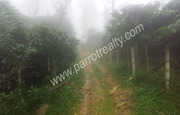 5 acre  land for sale near meenmutty water falls,  Wayanad.