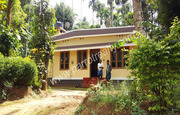 Land with  2bhk house for sale  in cherukattoor.Wayanad.