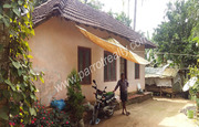 50cent land with  house for sale  in manalvayal.Wayanad.