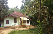  land with house for sale  near Nadavayal.Wayanad.