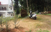 ​20cent land with  1600sqft house for sale  in cherukattoor.Wayanad.