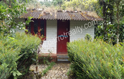 15cent land with small house in chooralmala-Meppadi at 13lakh