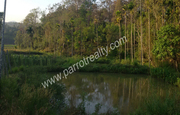 Well maintained 60 cent land for sale near KuruvaDweep at 16lakh 