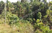 17cent land for sale near Mananthavady at 6.8lakh