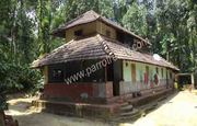 Well demanding 7 acre land with old house for sale near Karapuzhadam 