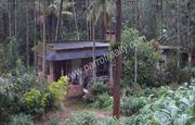 Well maintained 1acre land with house for sale Meppadi