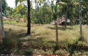 24 cent house plot for sale in kenichira at 24 lakh