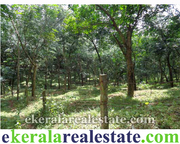 Neyyattinkara Amaravila Perumkadavila rubber plantation for sale