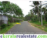 Trivandrum land sale at Balaramapuram Russelpuram