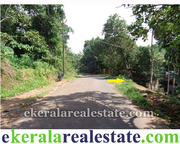 Sreekaryam land property sale at Chenkottukonam Trivandrum